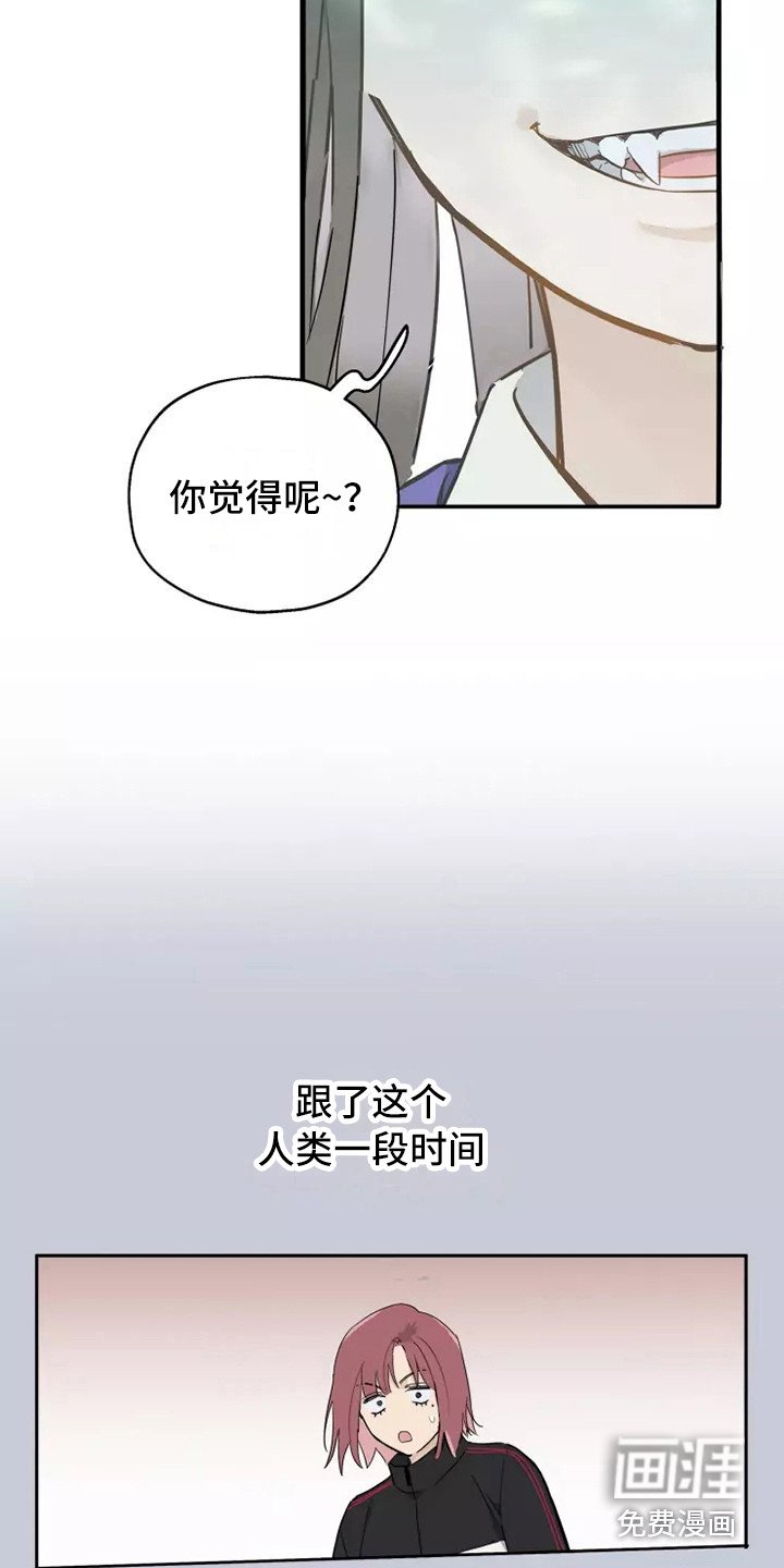 第7章：纠缠