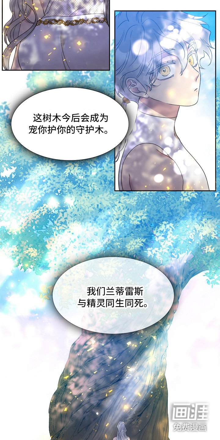 第10章：争论