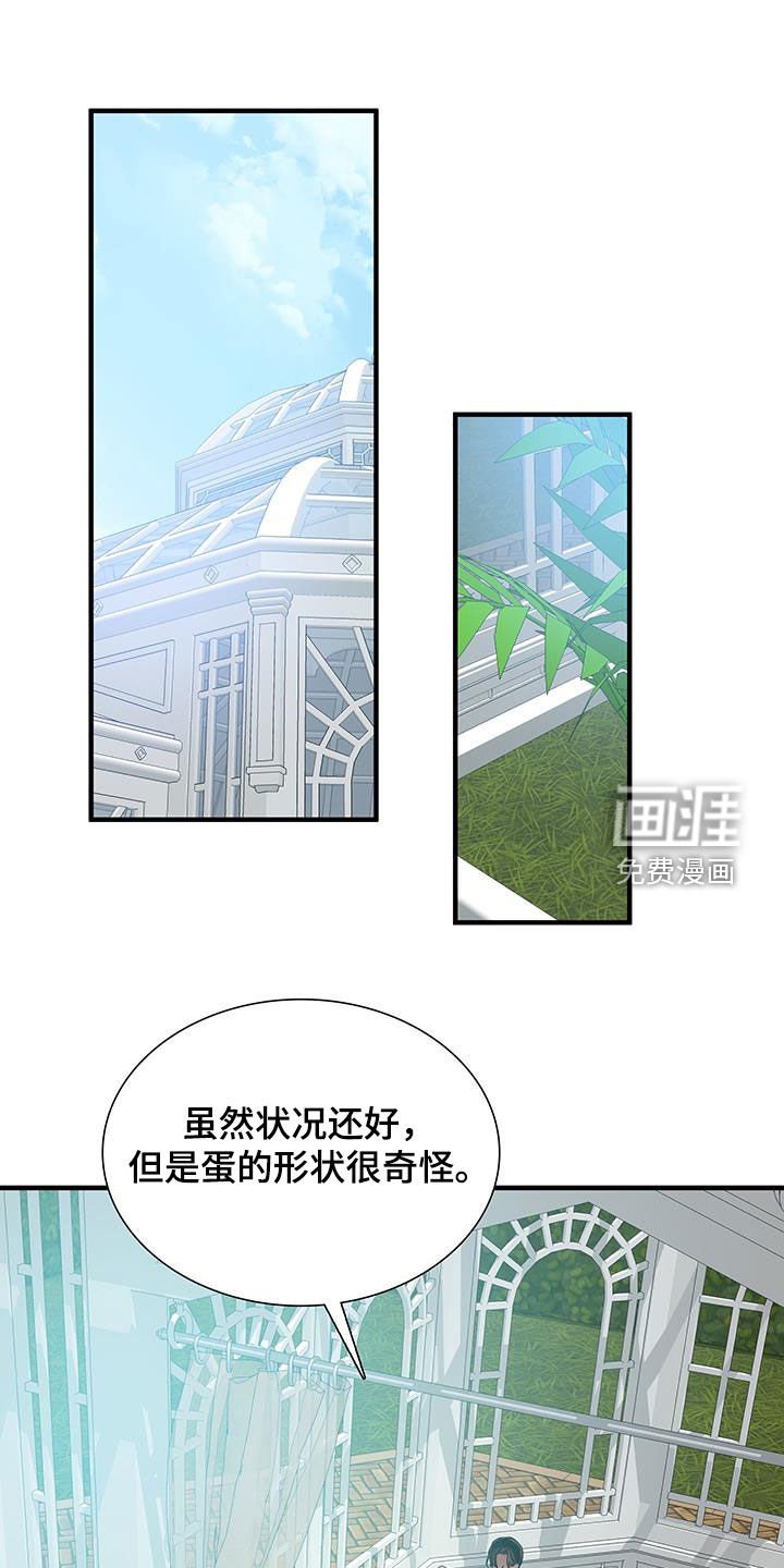 第124章：【第二季】这是什么意思