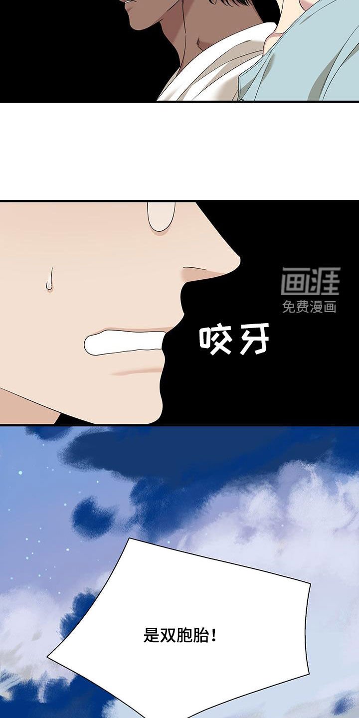第126章：【第二季完结】双胞胎