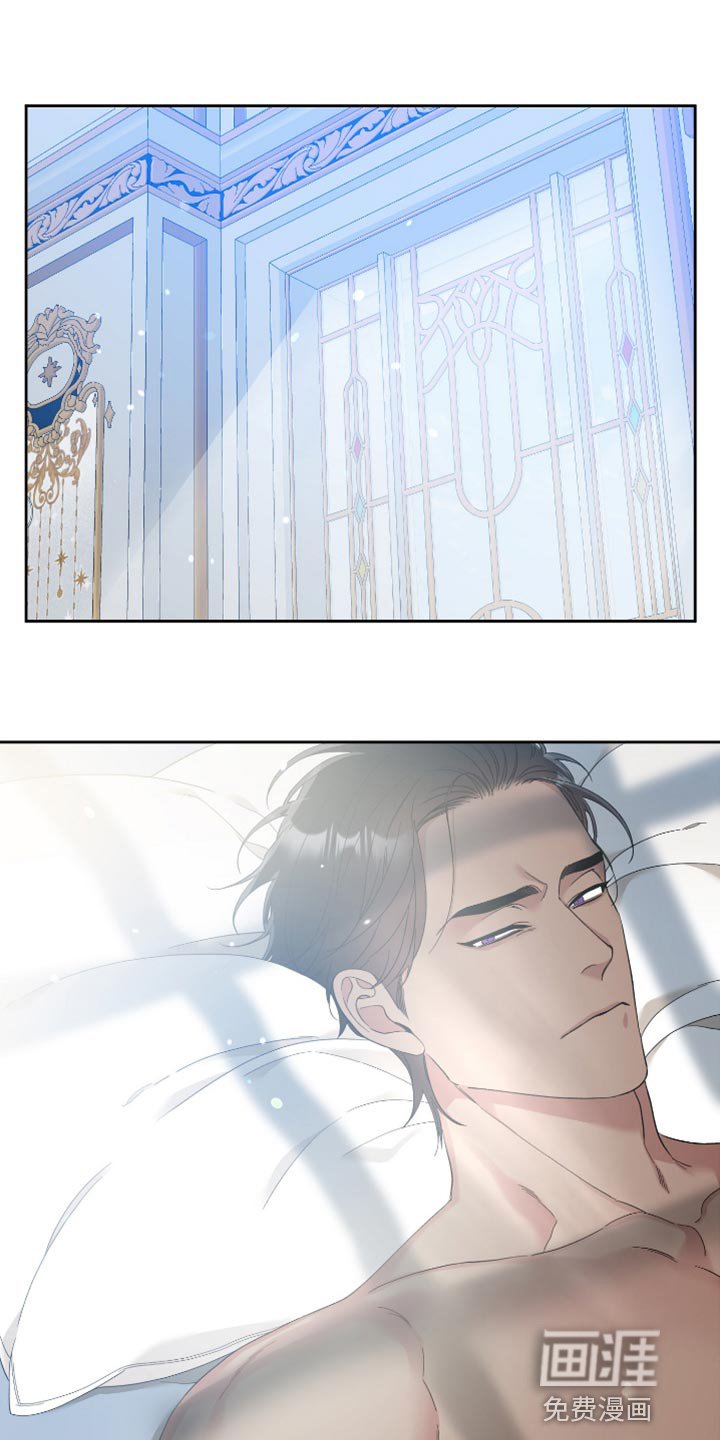 第13章：观察树木