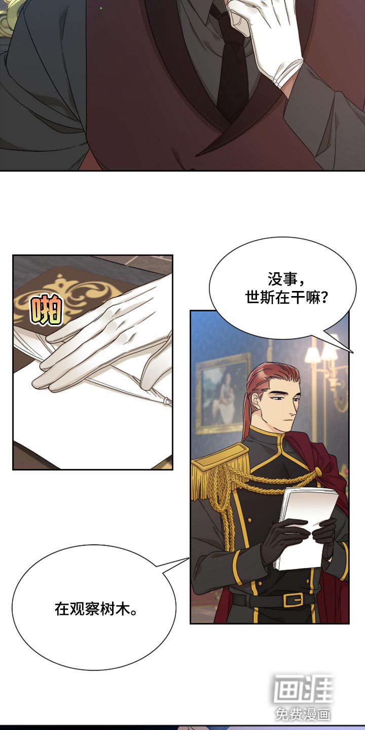 第13章：观察树木