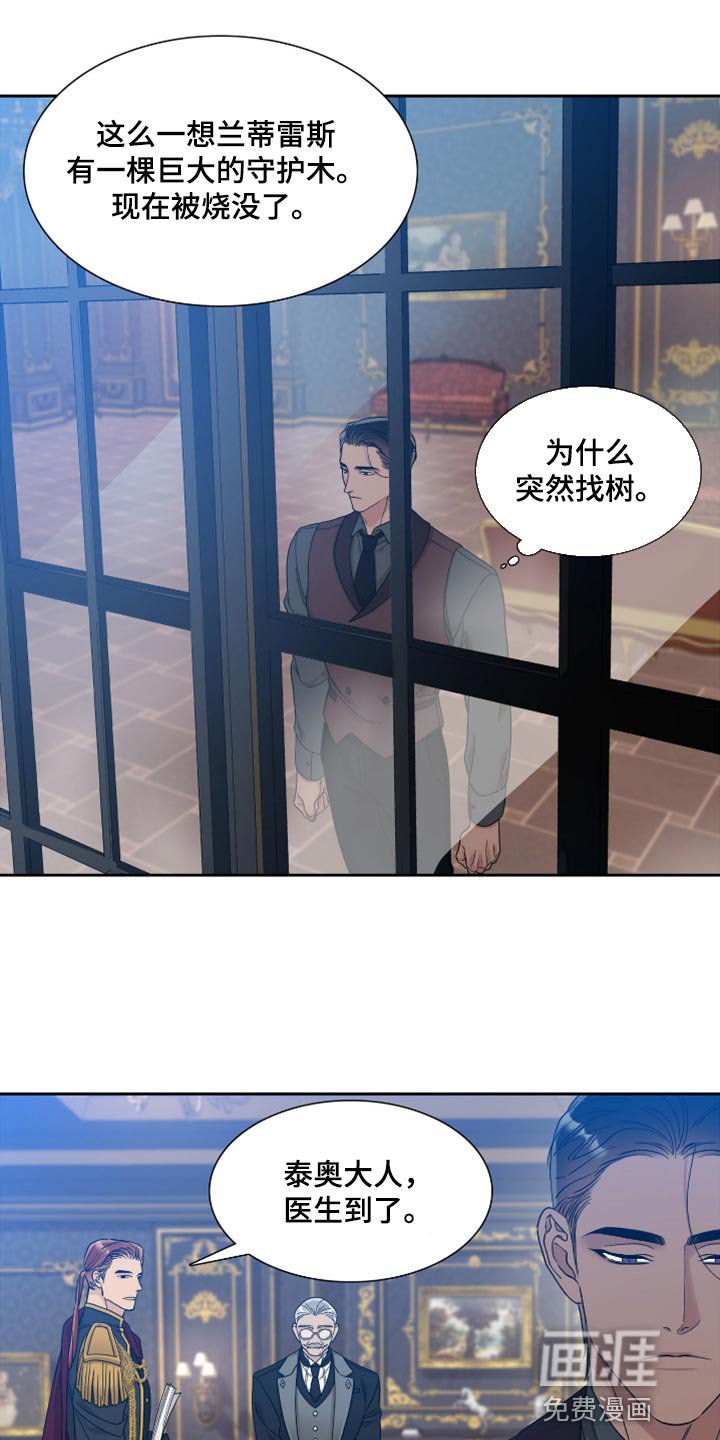 第13章：观察树木