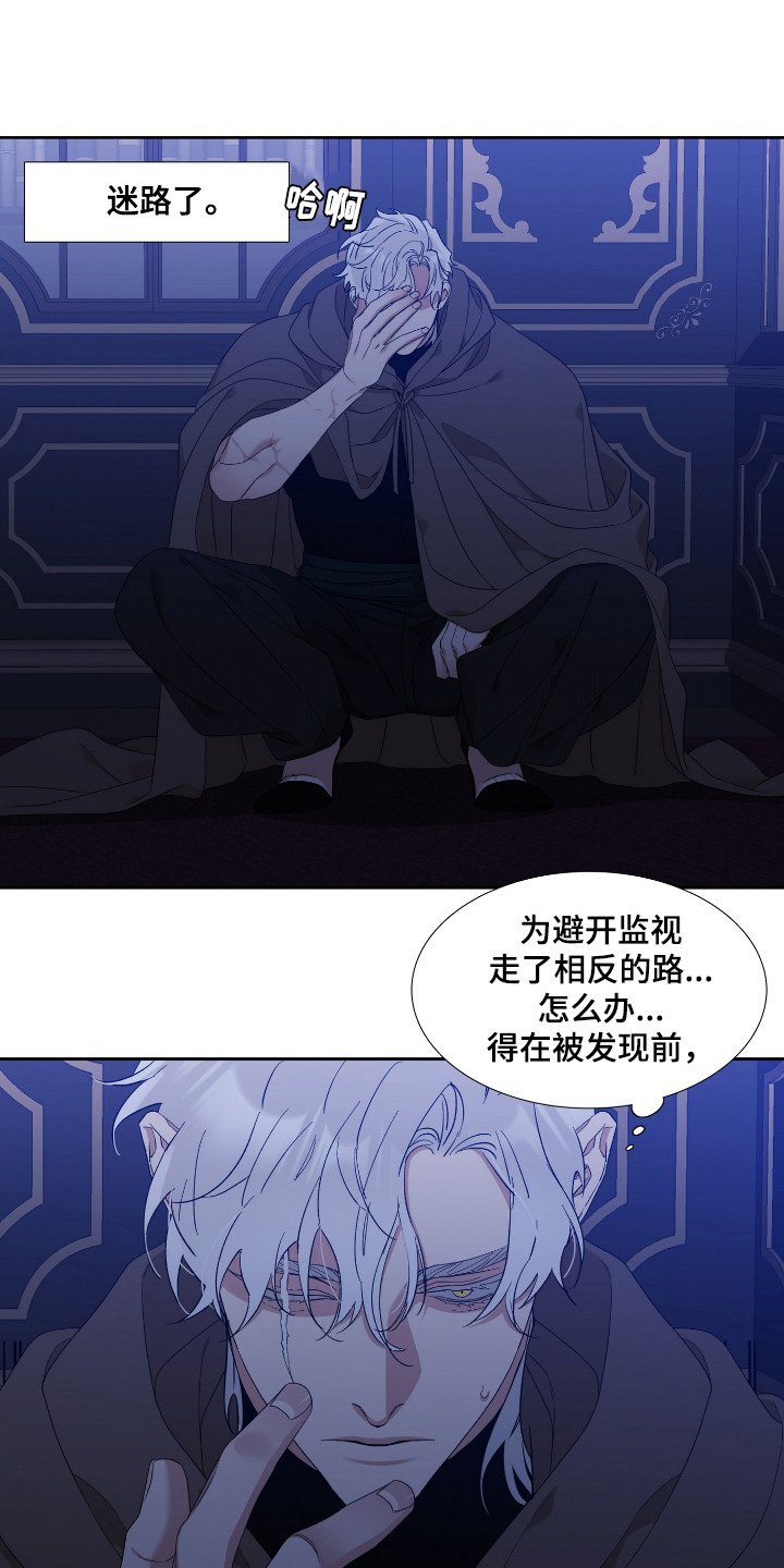 第3章：出逃