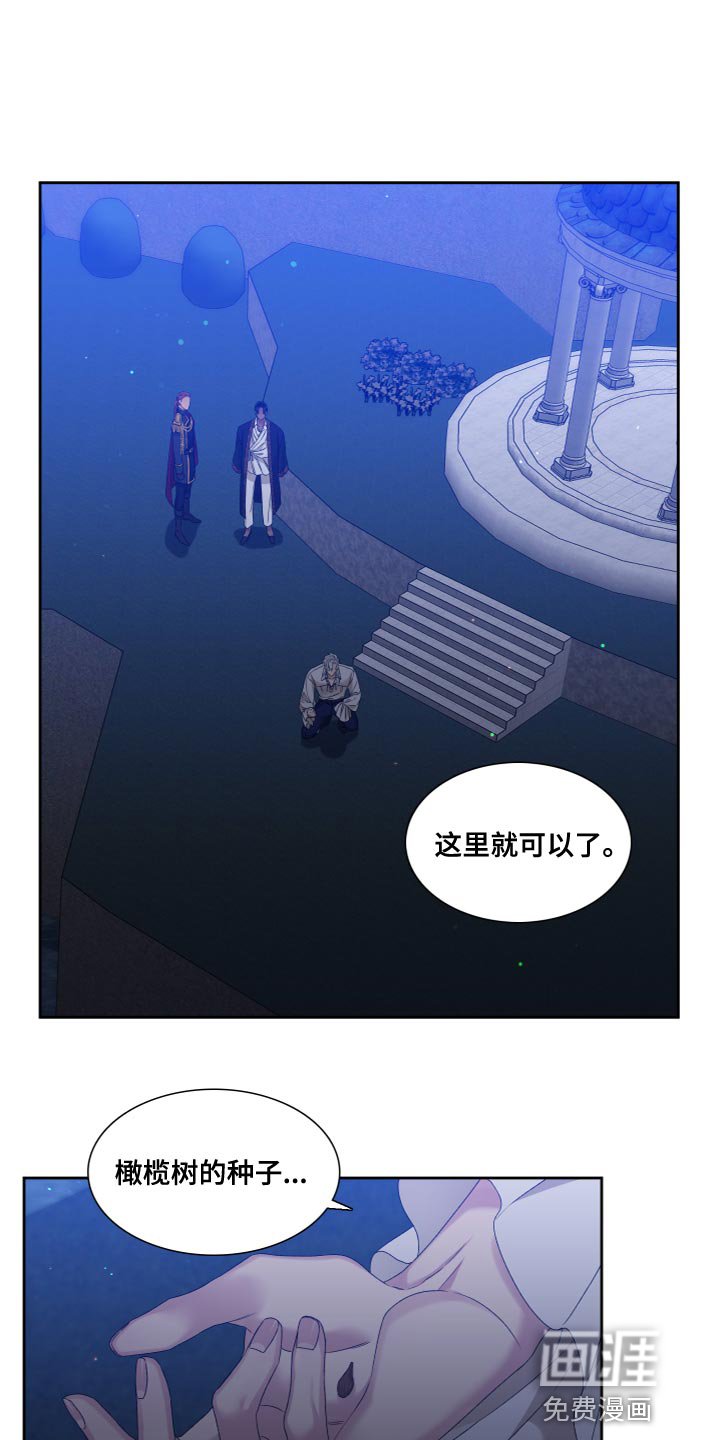 第30章：橄榄树