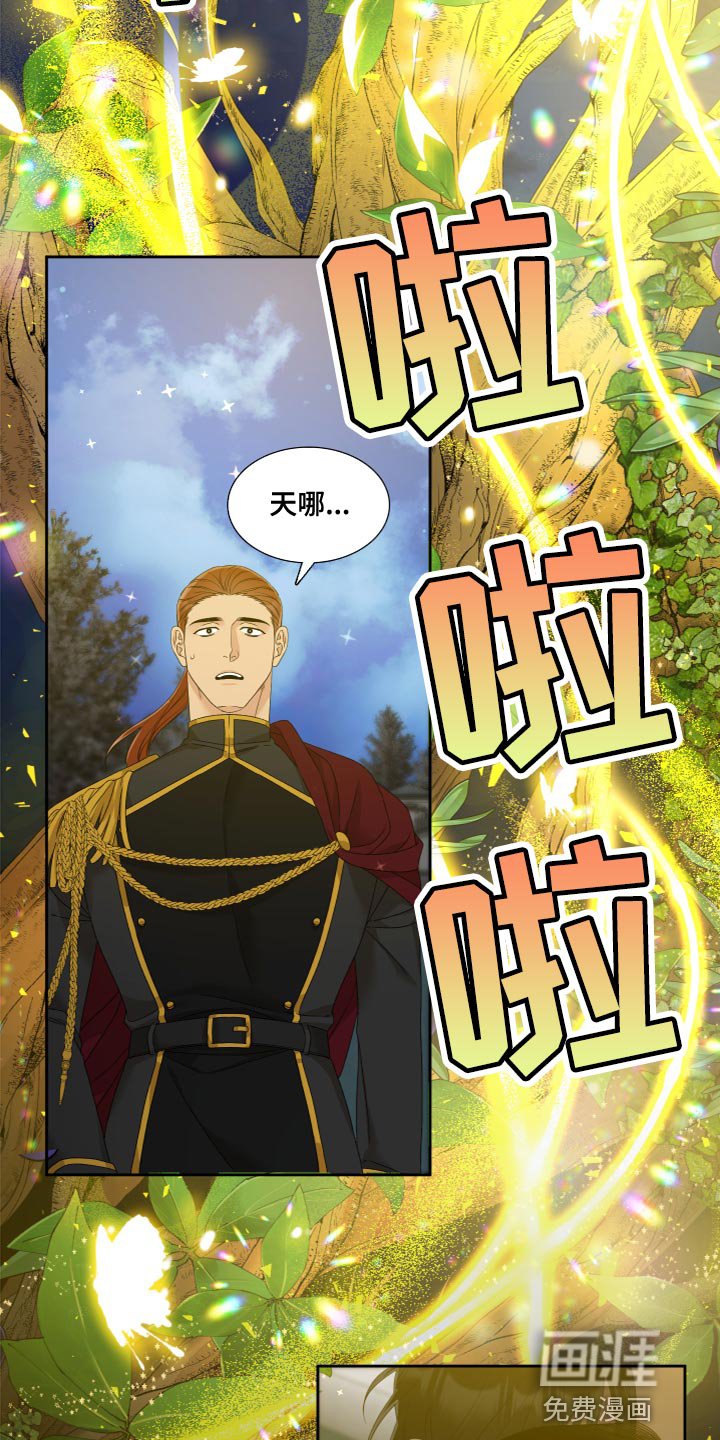 第30章：橄榄树
