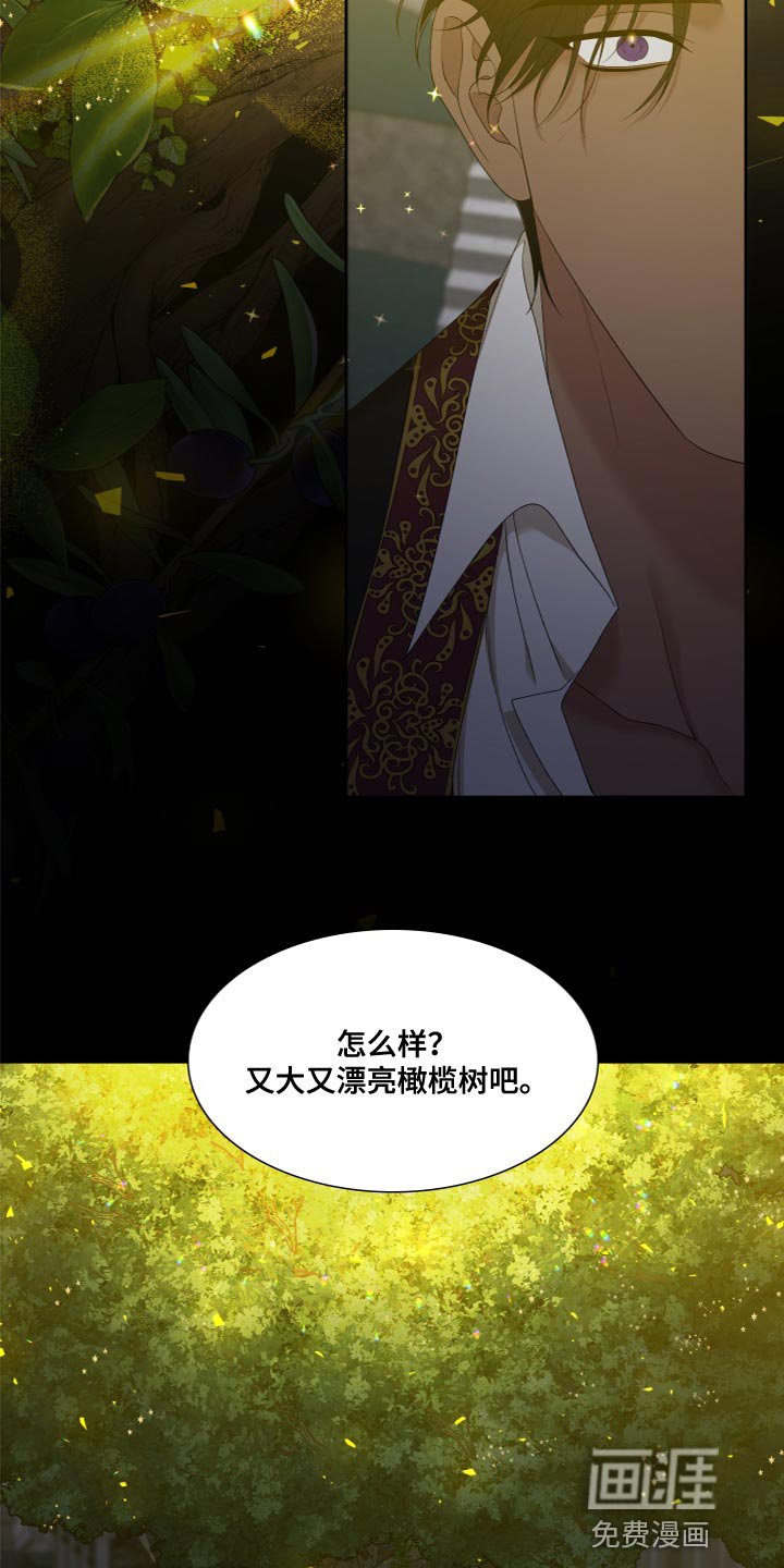 第30章：橄榄树