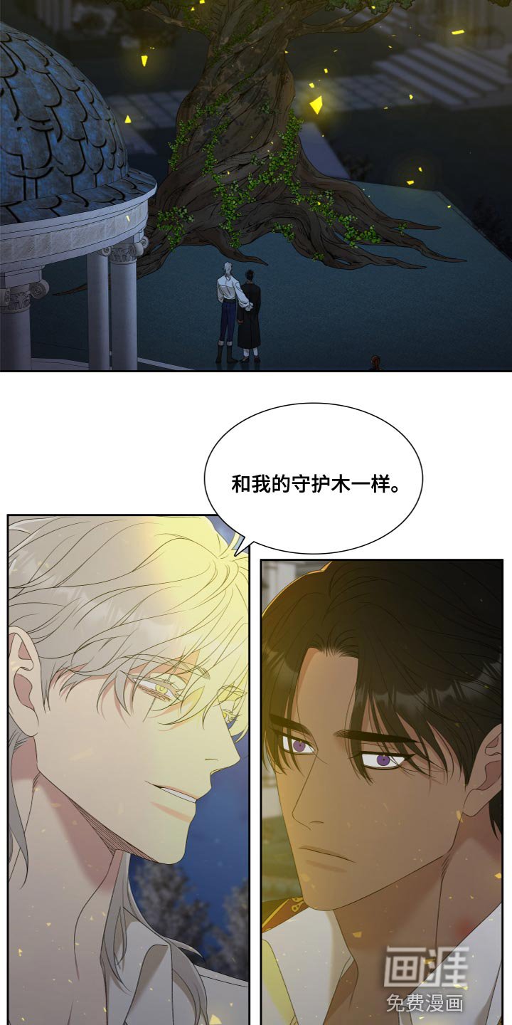 第30章：橄榄树