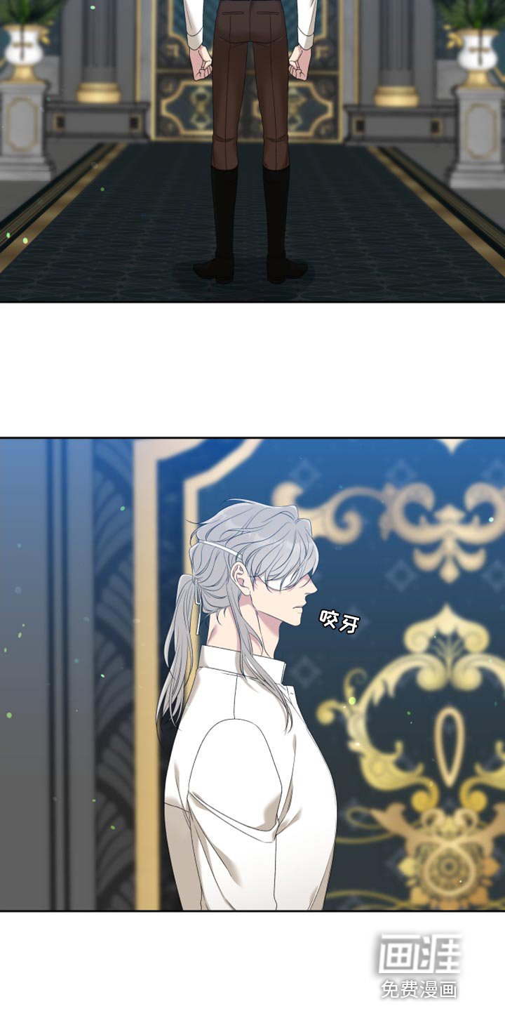 第34章：精灵