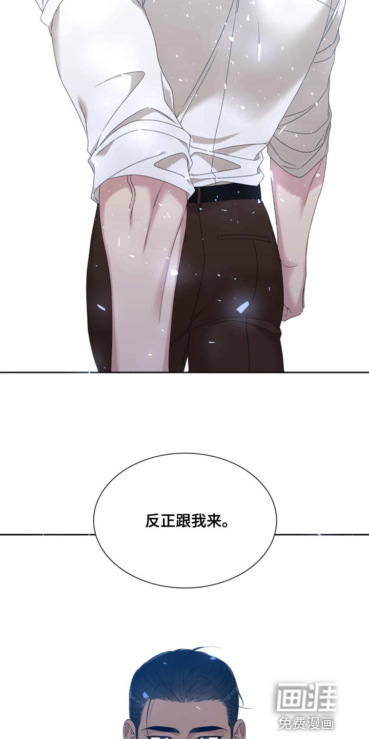 第34章：精灵