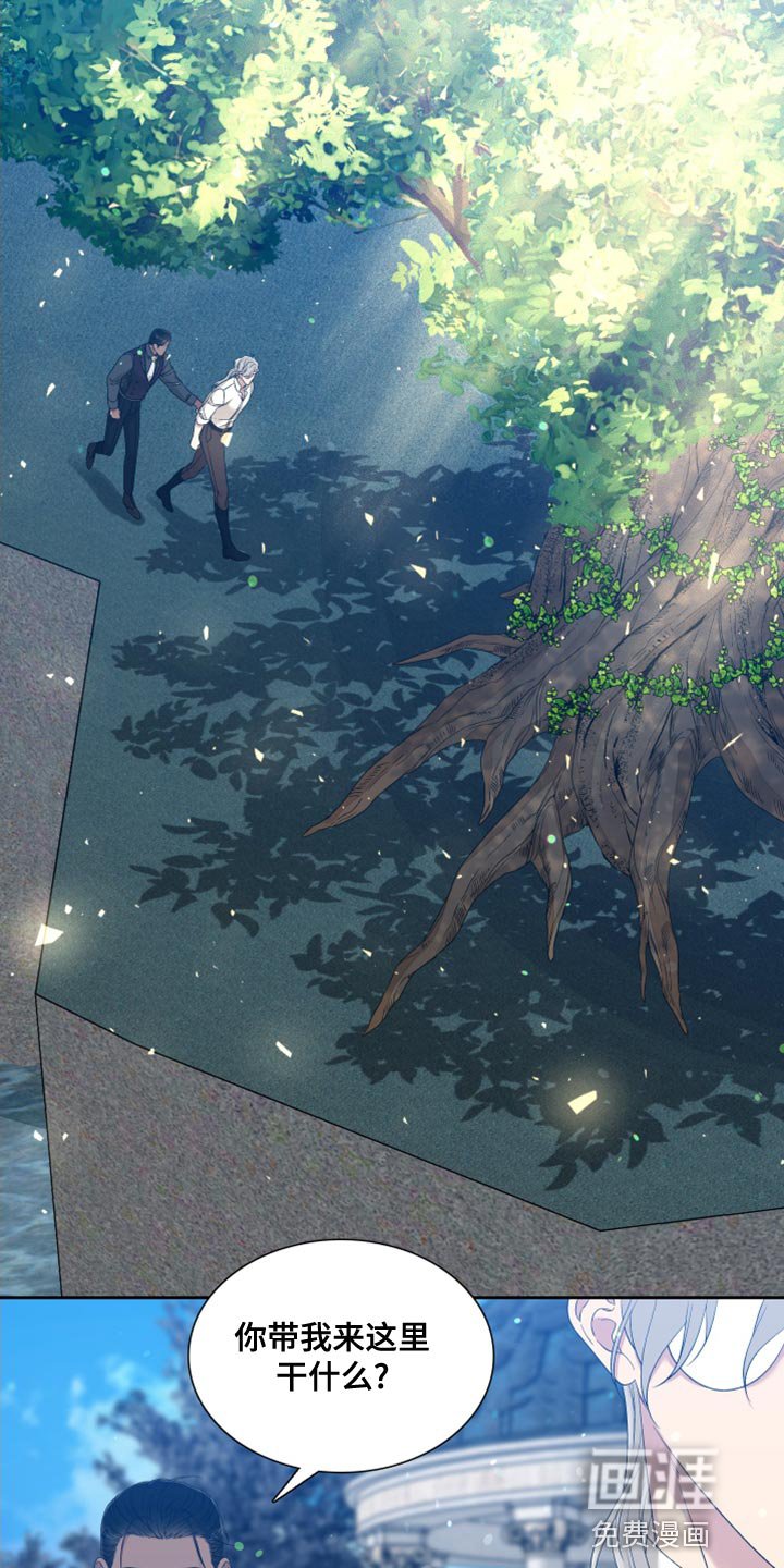 第34章：精灵