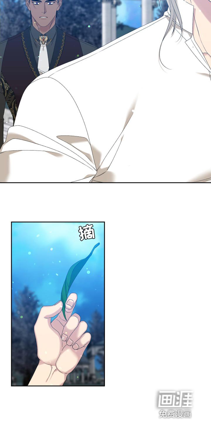 第34章：精灵