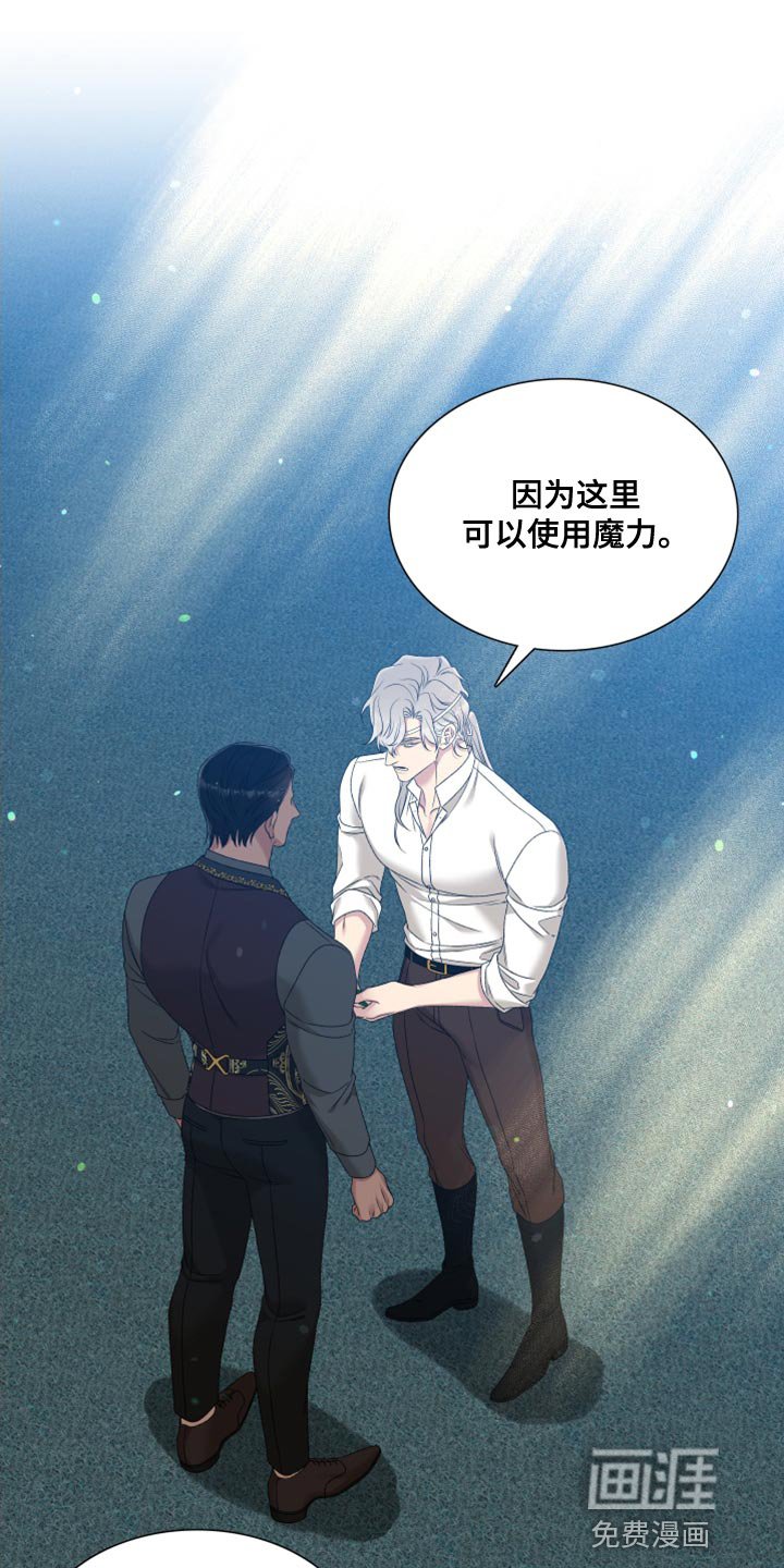 第34章：精灵