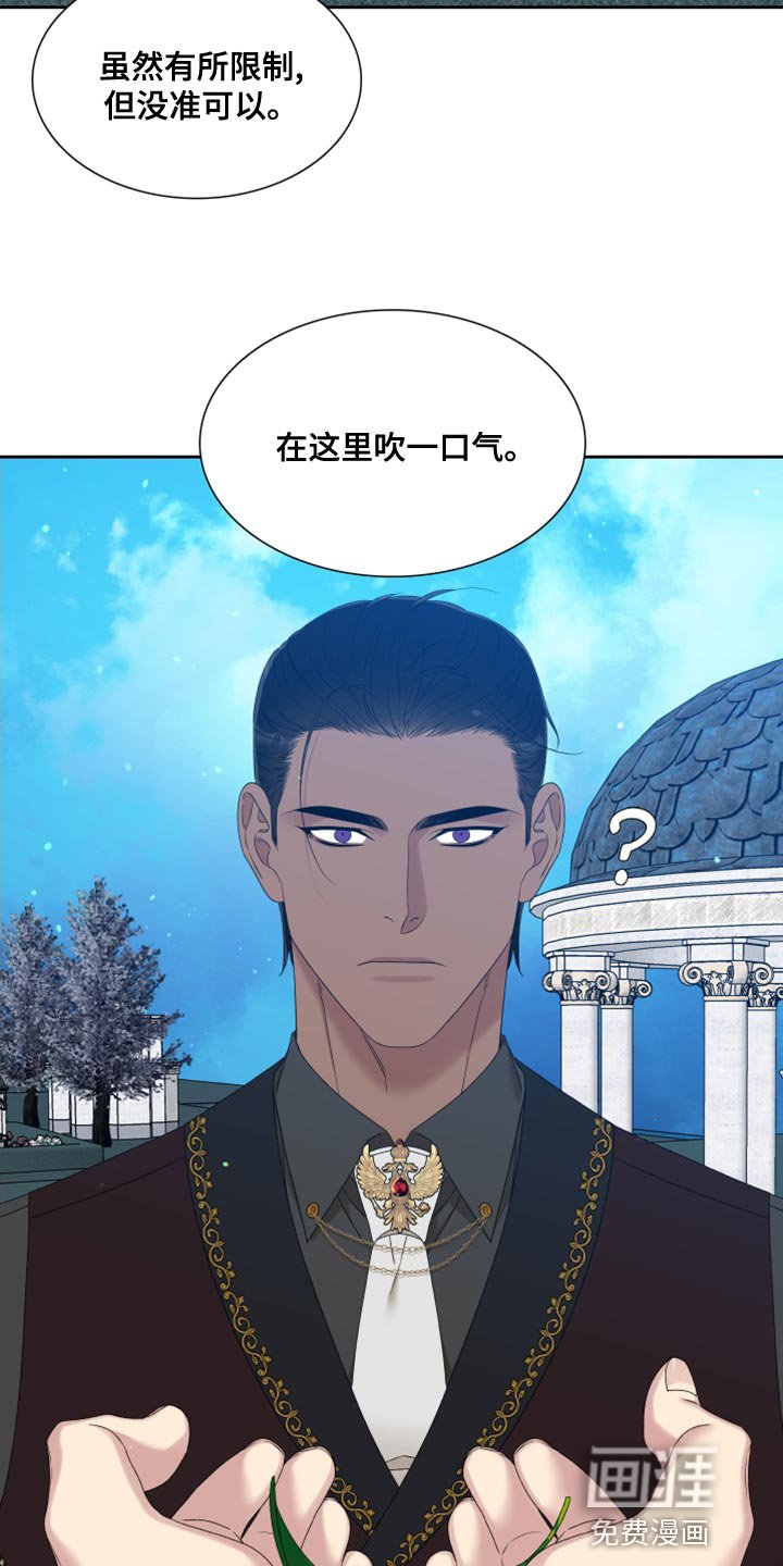 第34章：精灵