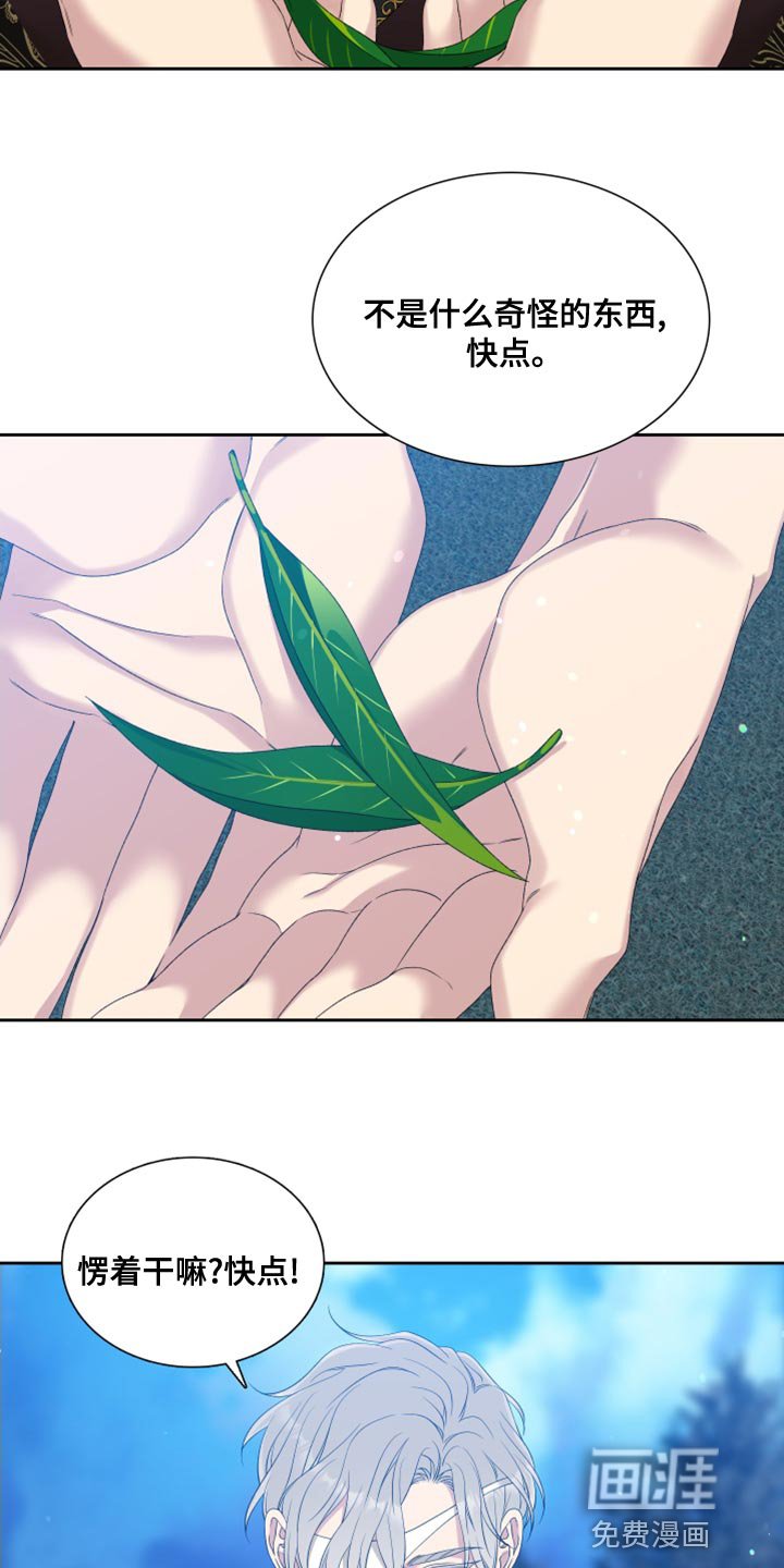 第34章：精灵