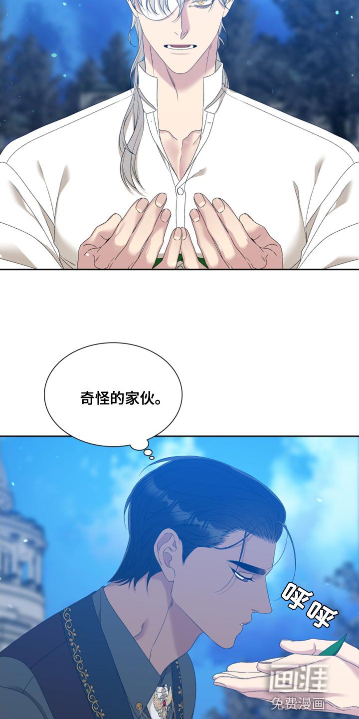 第34章：精灵