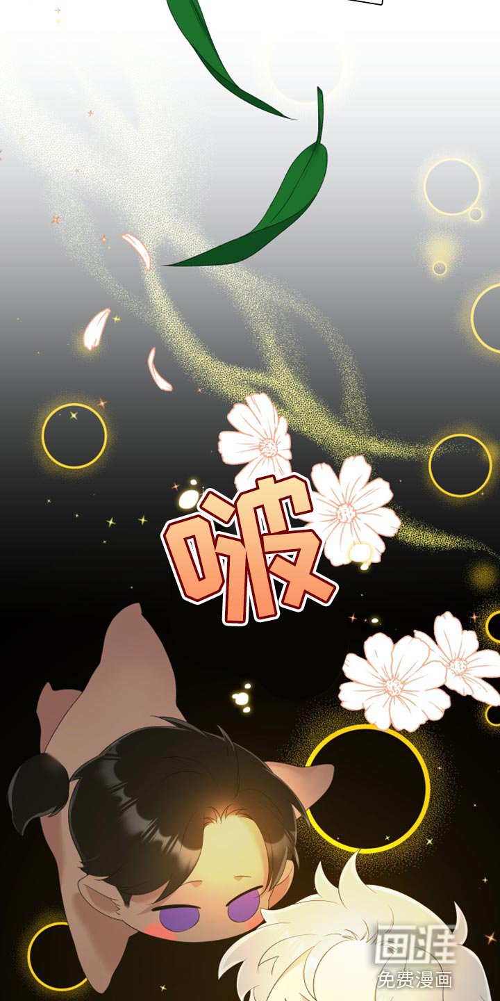 第34章：精灵