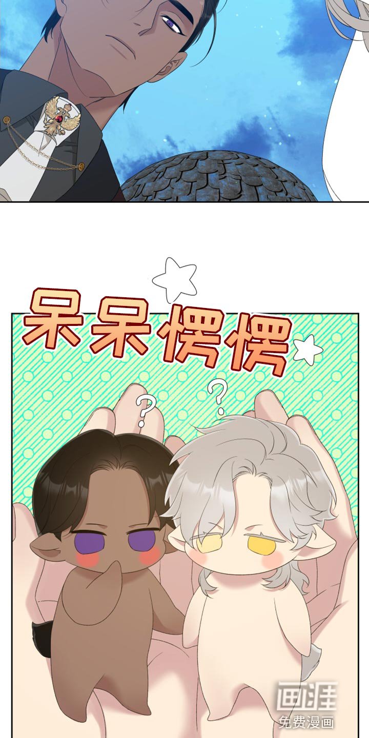 第34章：精灵