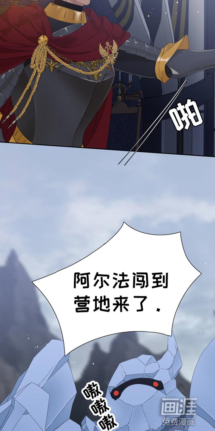第37章：战斗