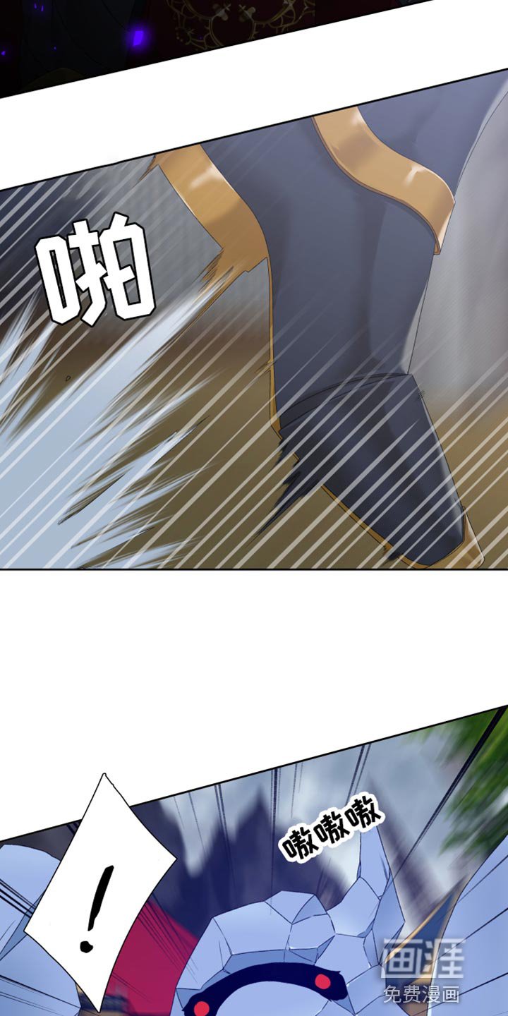 第37章：战斗