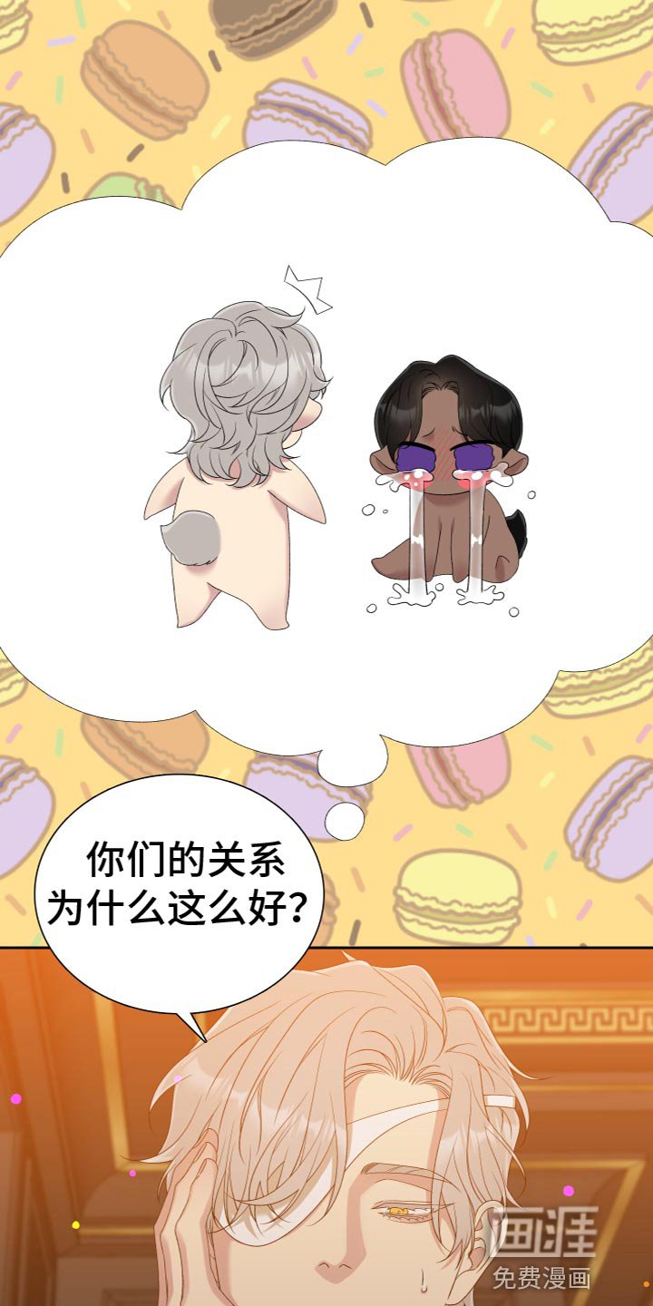 第43章：是我一直躲着他