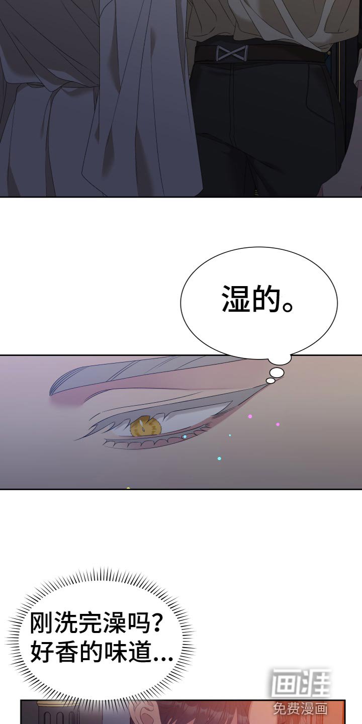 第43章：是我一直躲着他