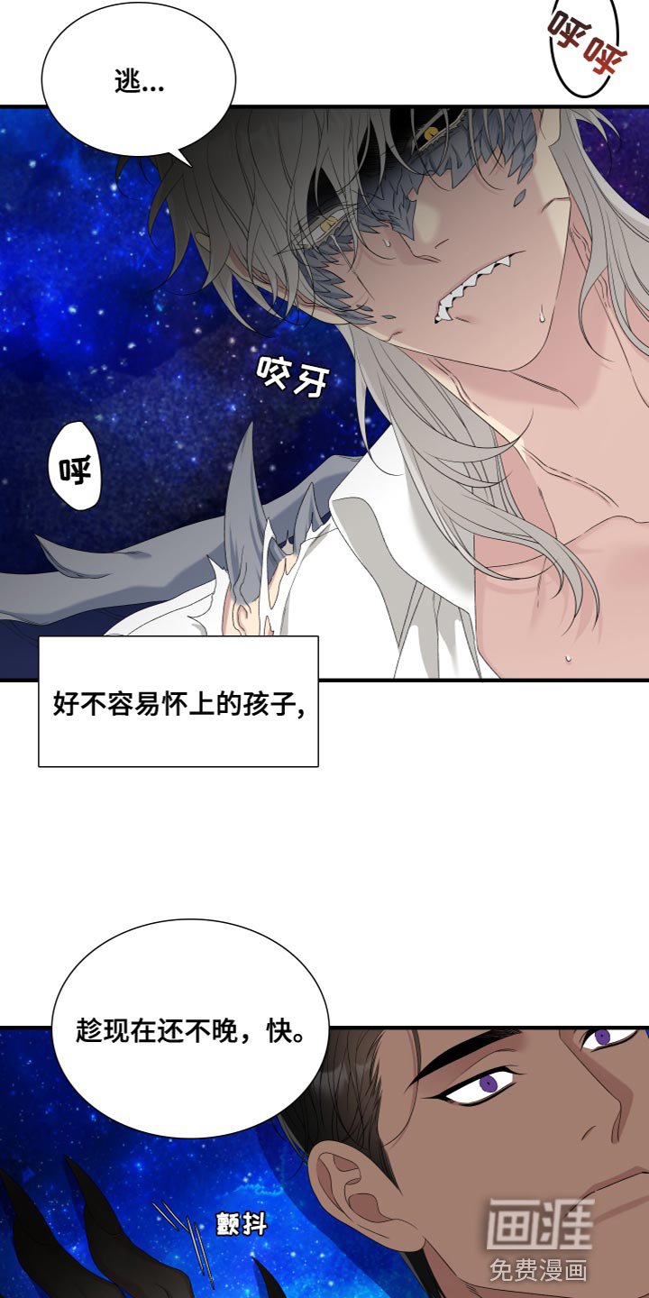 第48章：命运
