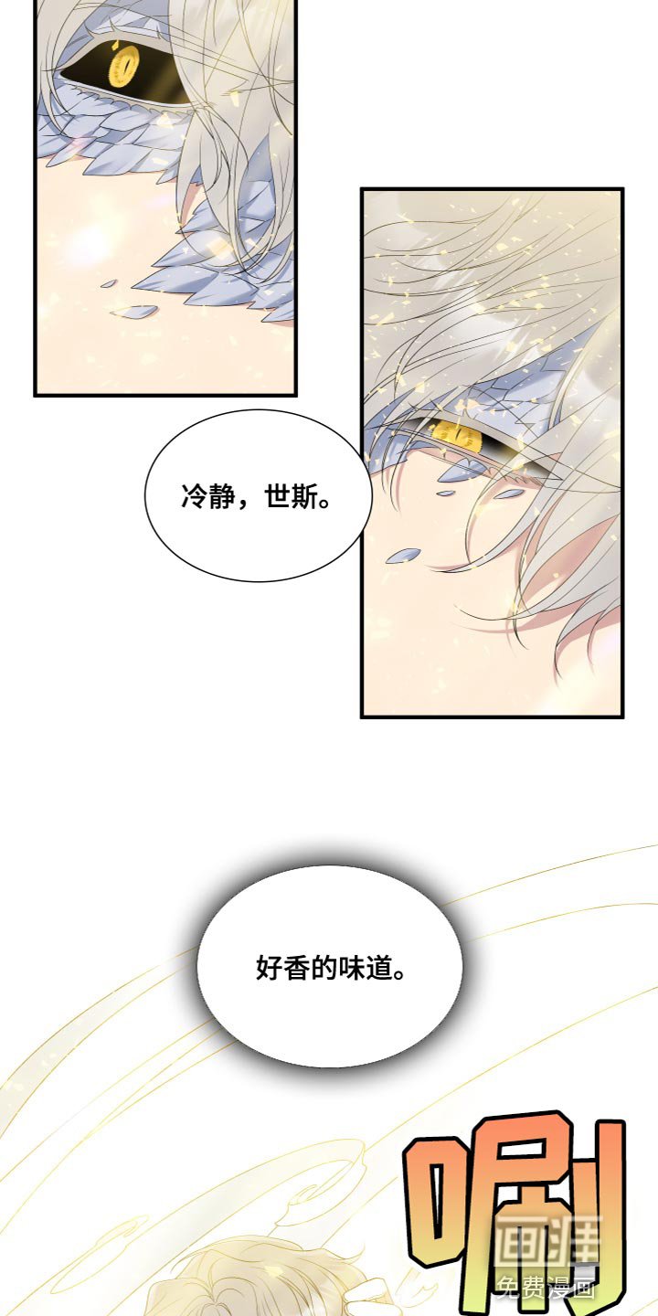 第48章：命运
