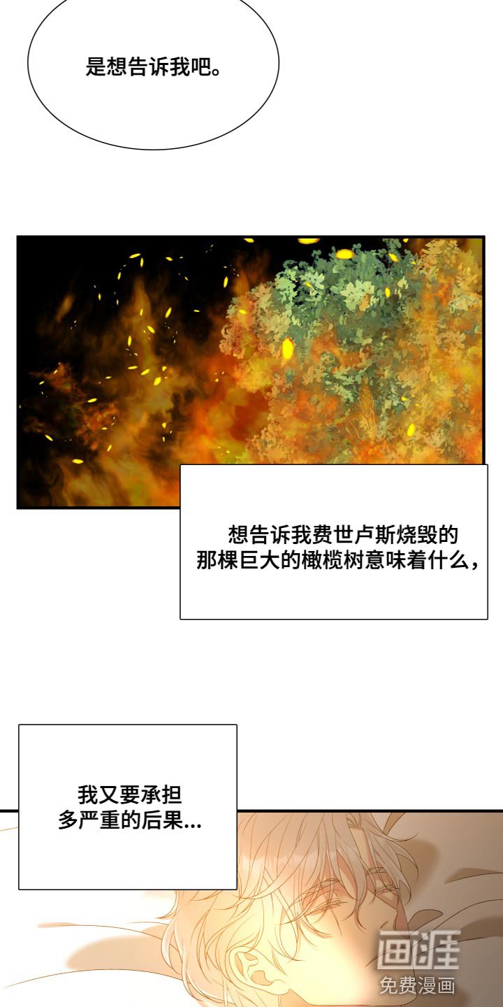 第49章：守护木