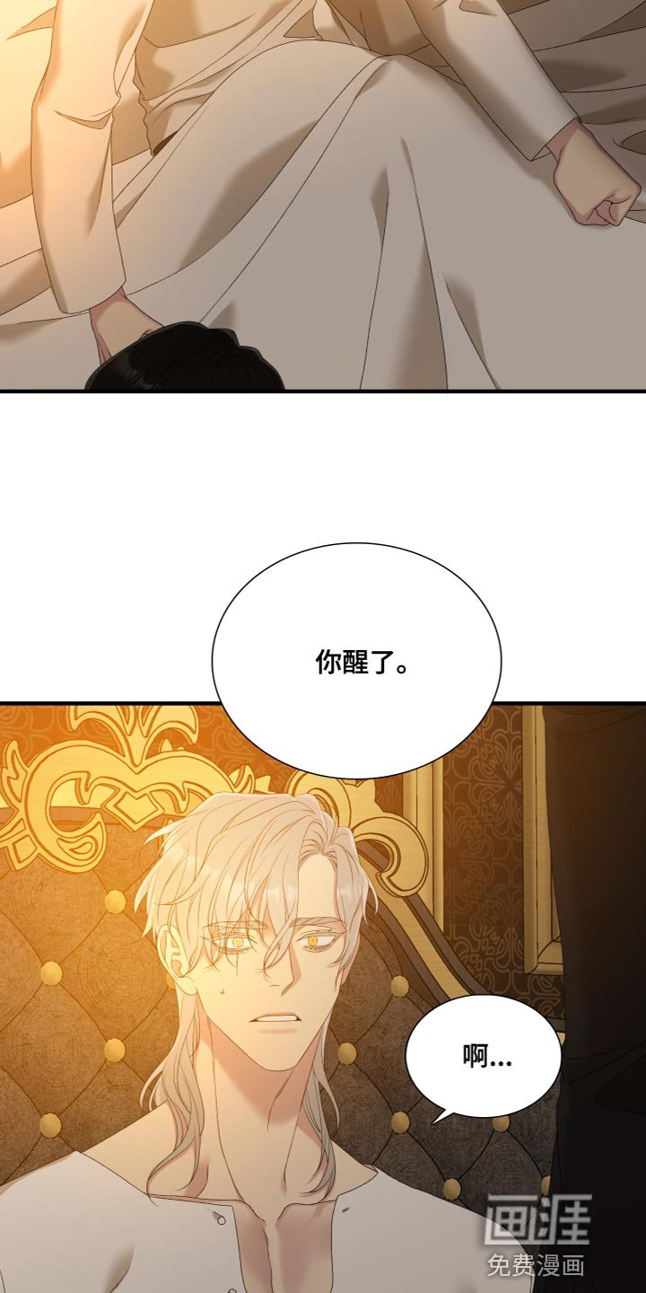 第49章：守护木