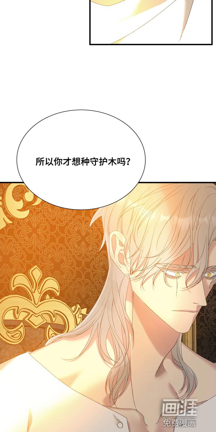 第49章：守护木