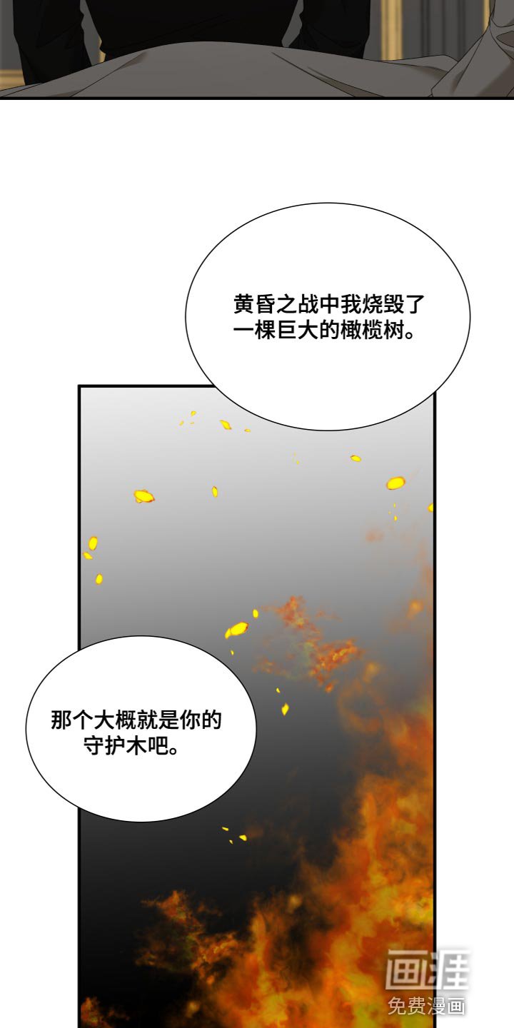 第49章：守护木