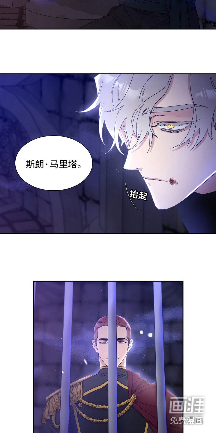 第5章：怀孕了