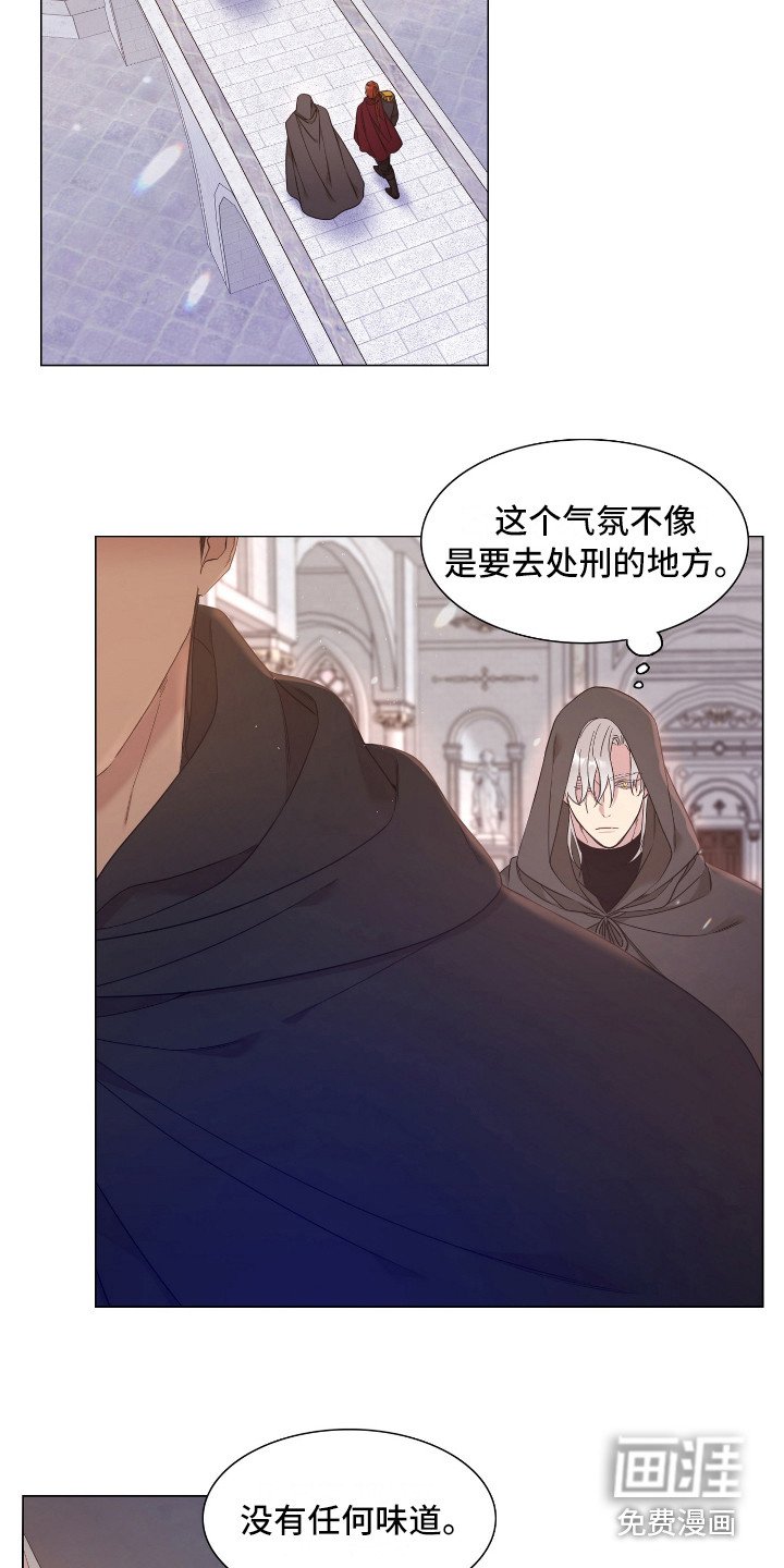 第5章：怀孕了