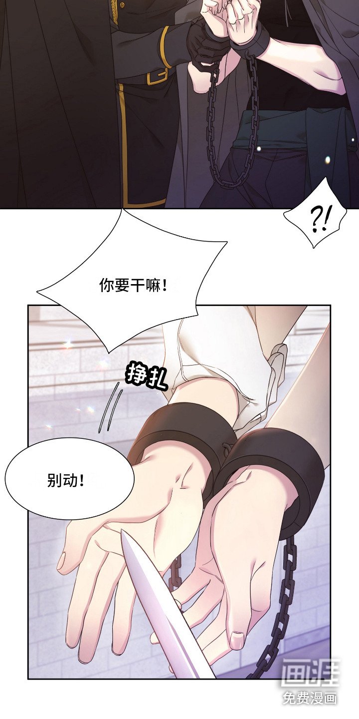 第5章：怀孕了