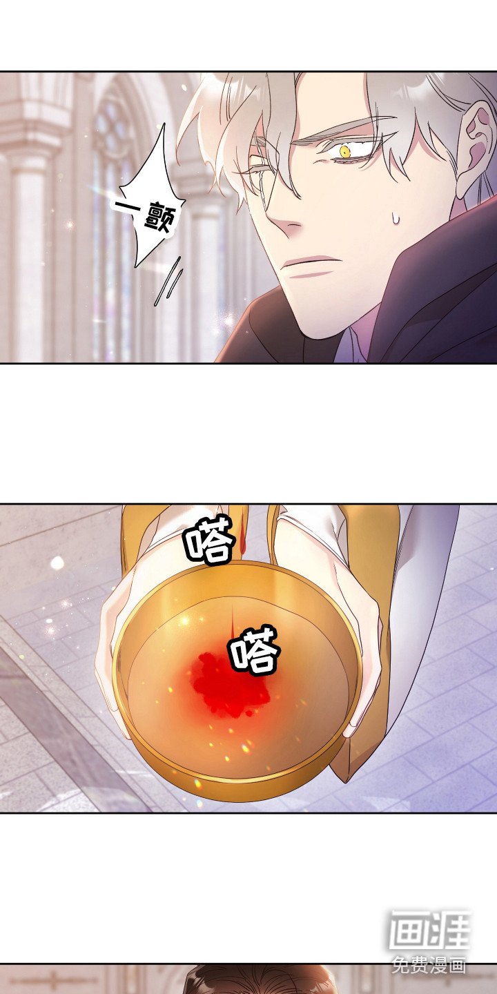 第5章：怀孕了