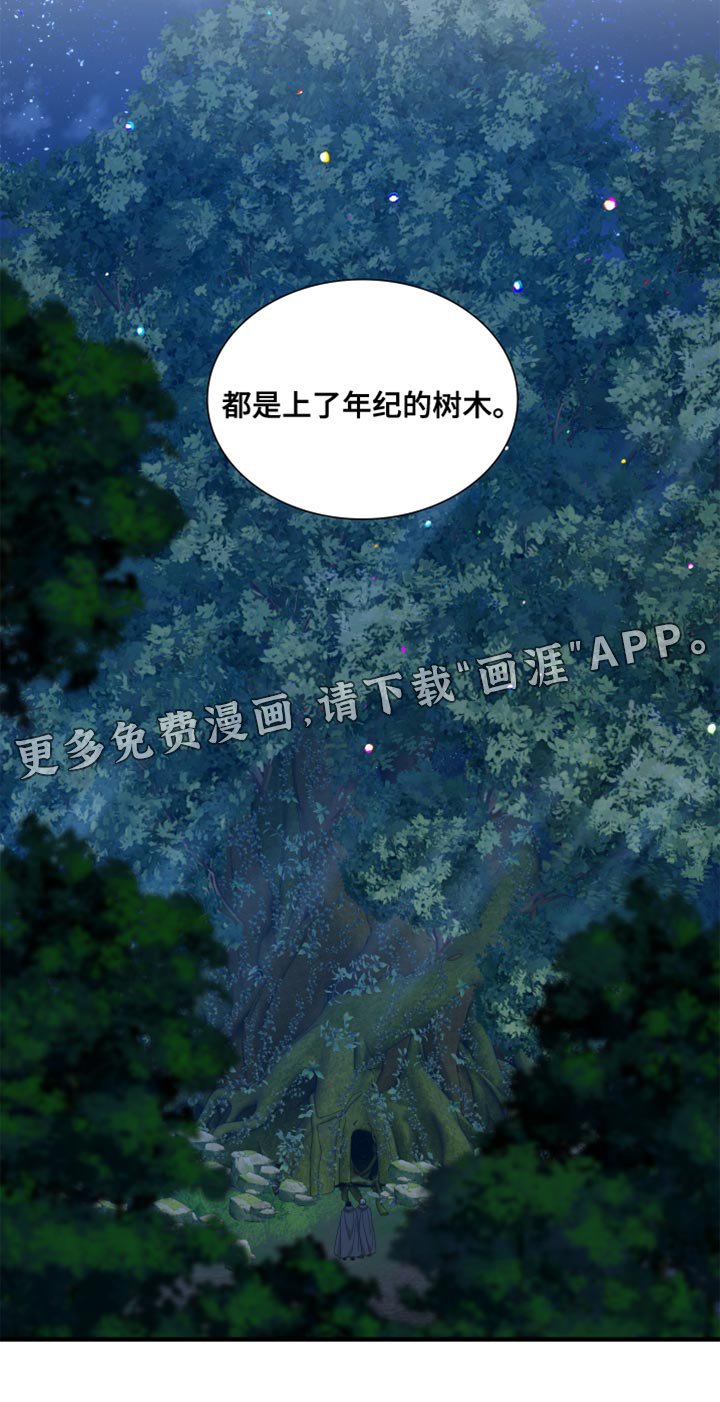 第56章：【第二季】不要回头