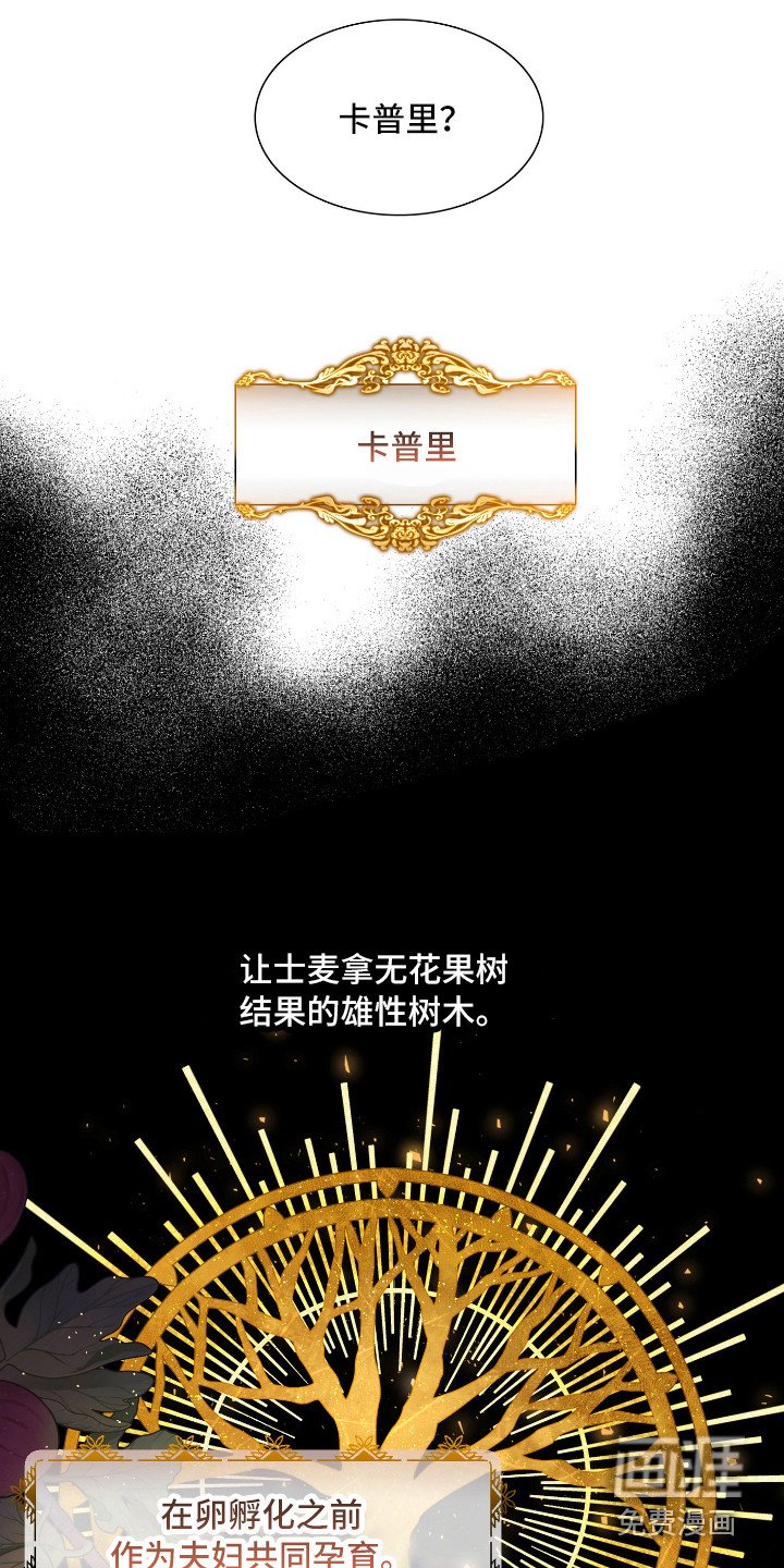第6章：卡普里