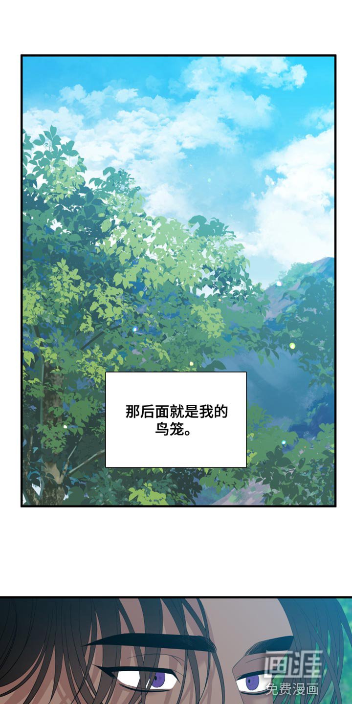 第65章：【第二季】鸟笼