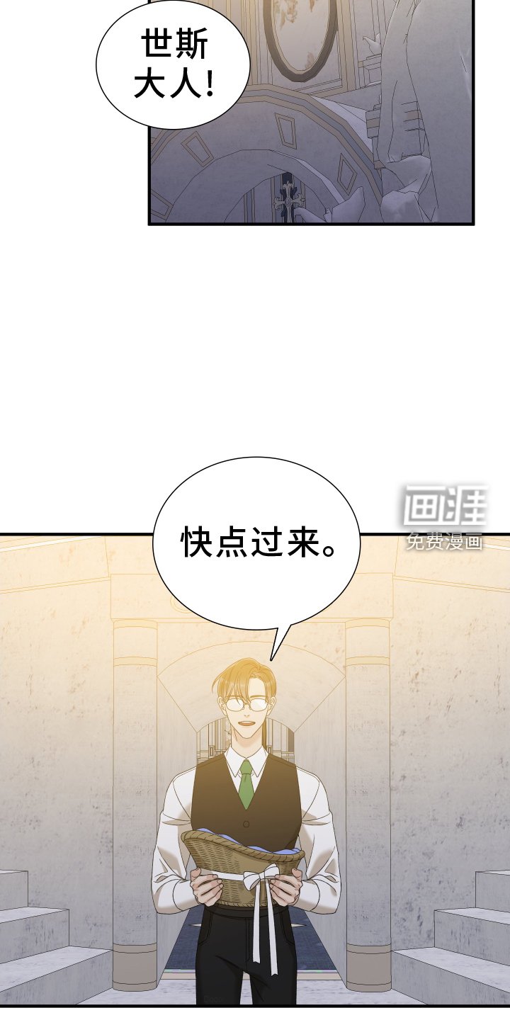 第80章：【第二季】等待