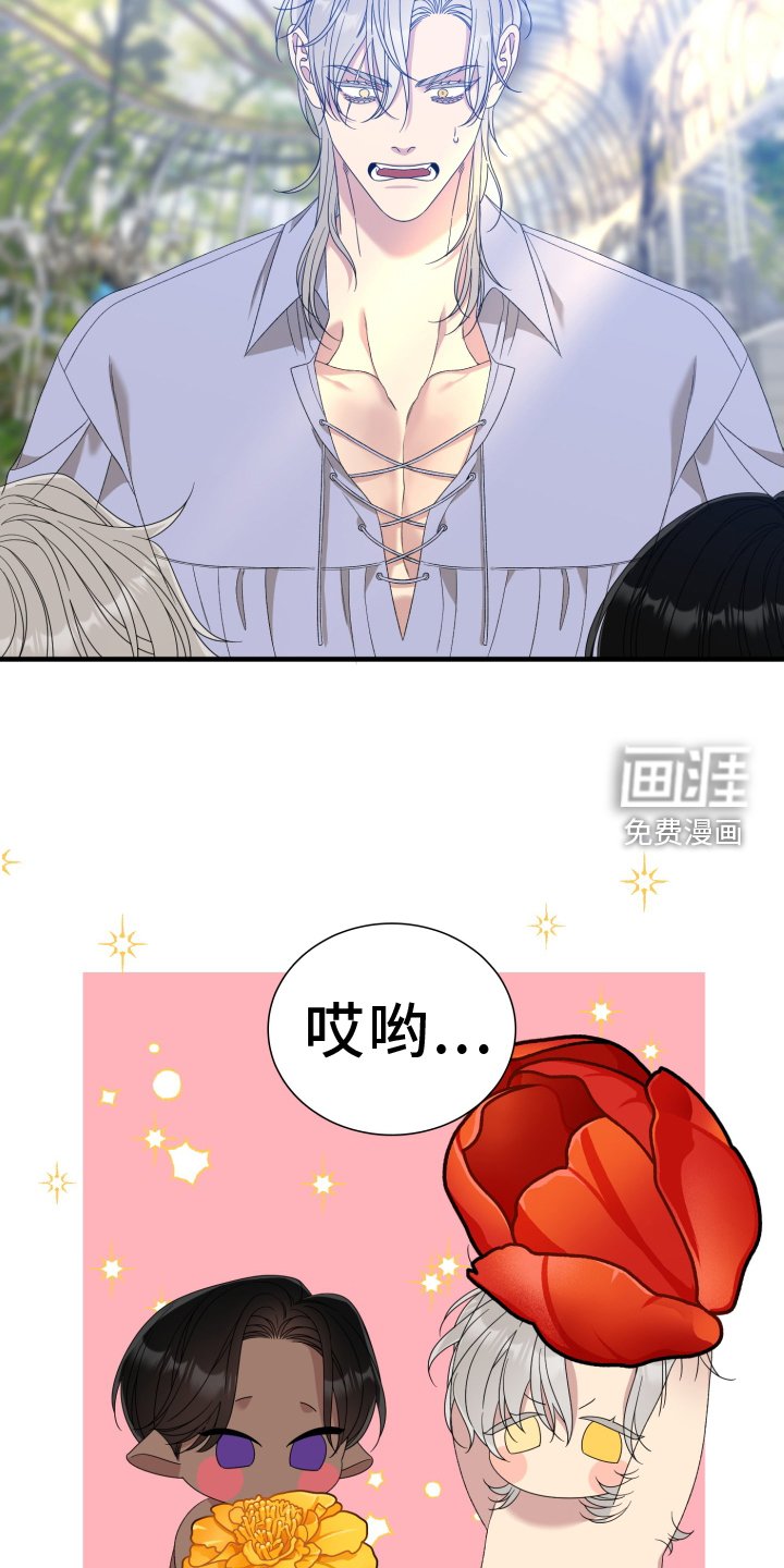 第90章：【第二季】鲜花