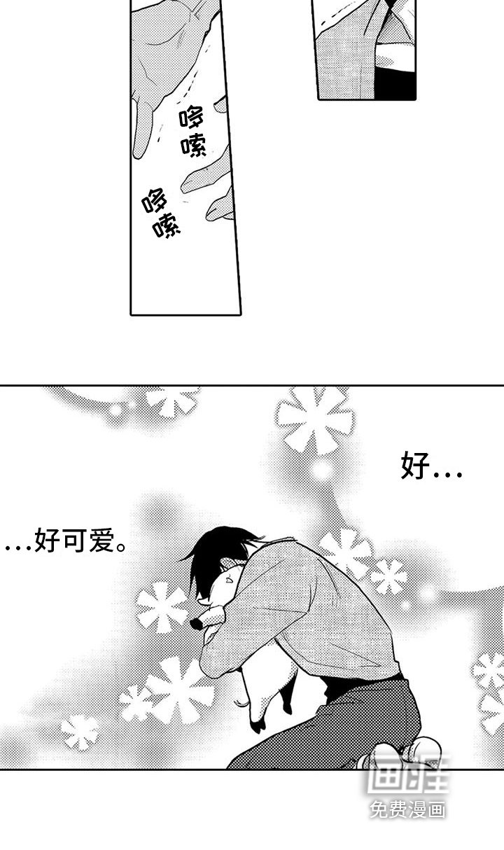 第4章：可爱