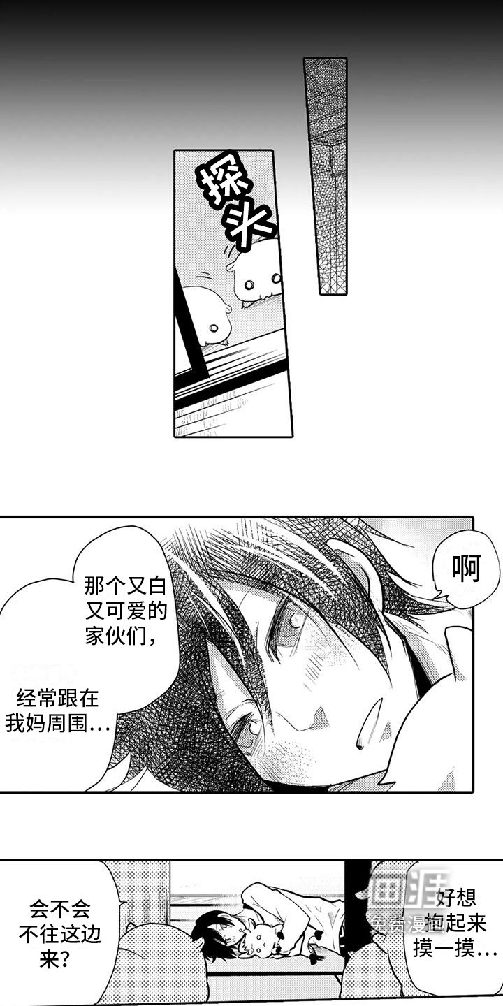 第5章：同居