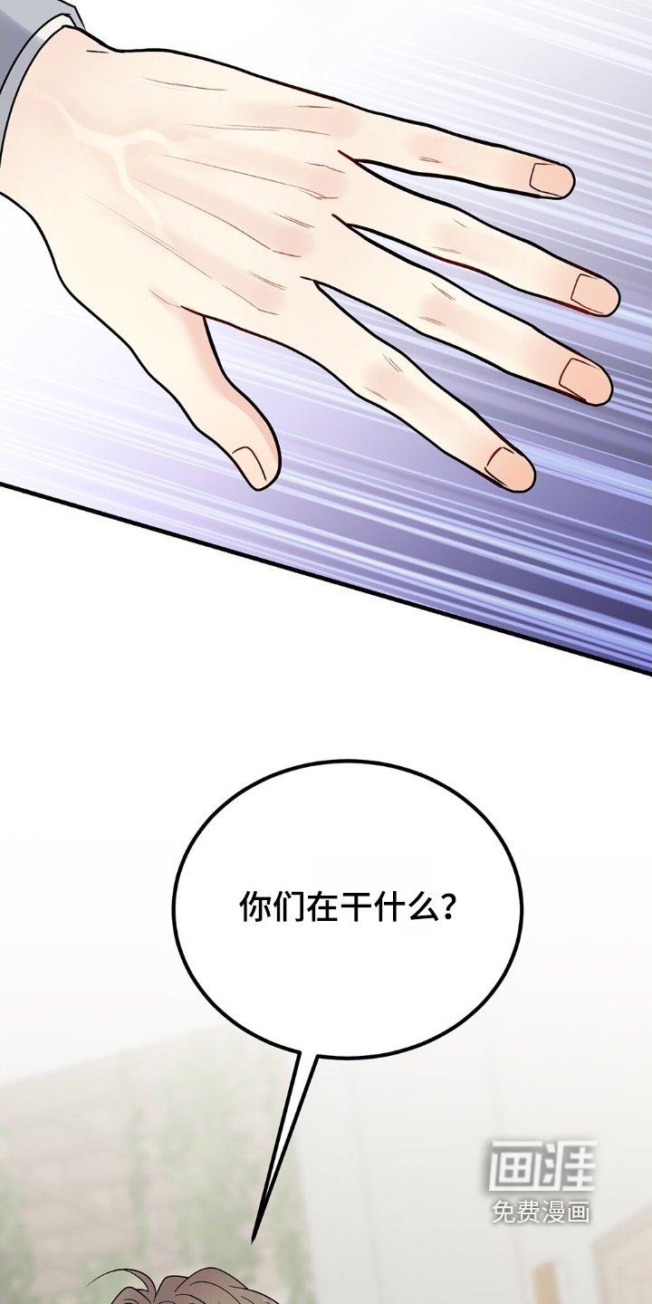 第113章：别打了