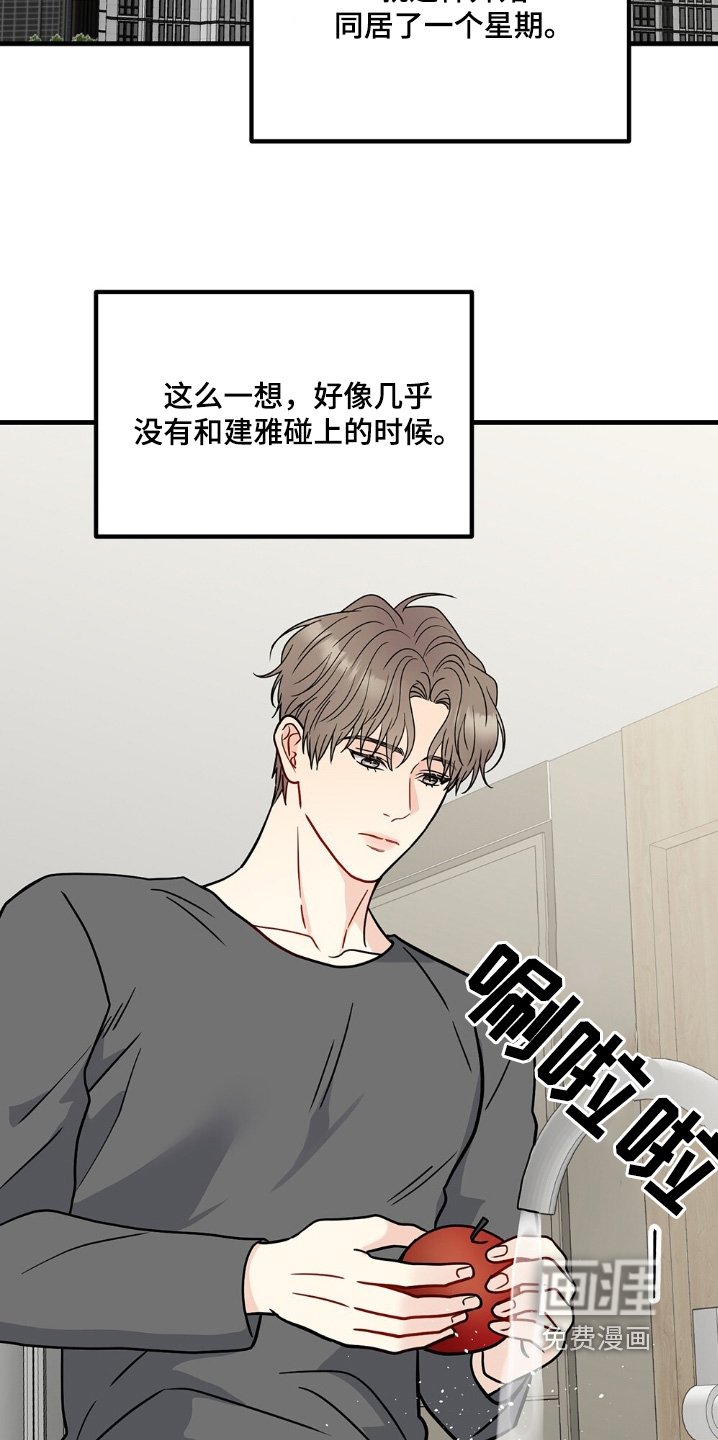 第123章：同居了