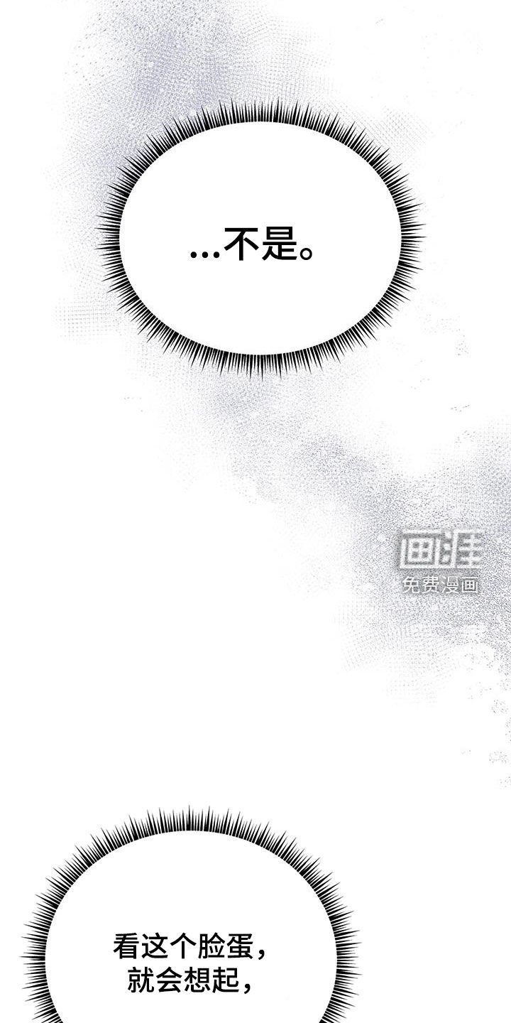 第26章：朋友