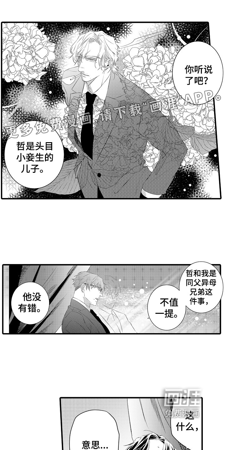 第14章：拒绝