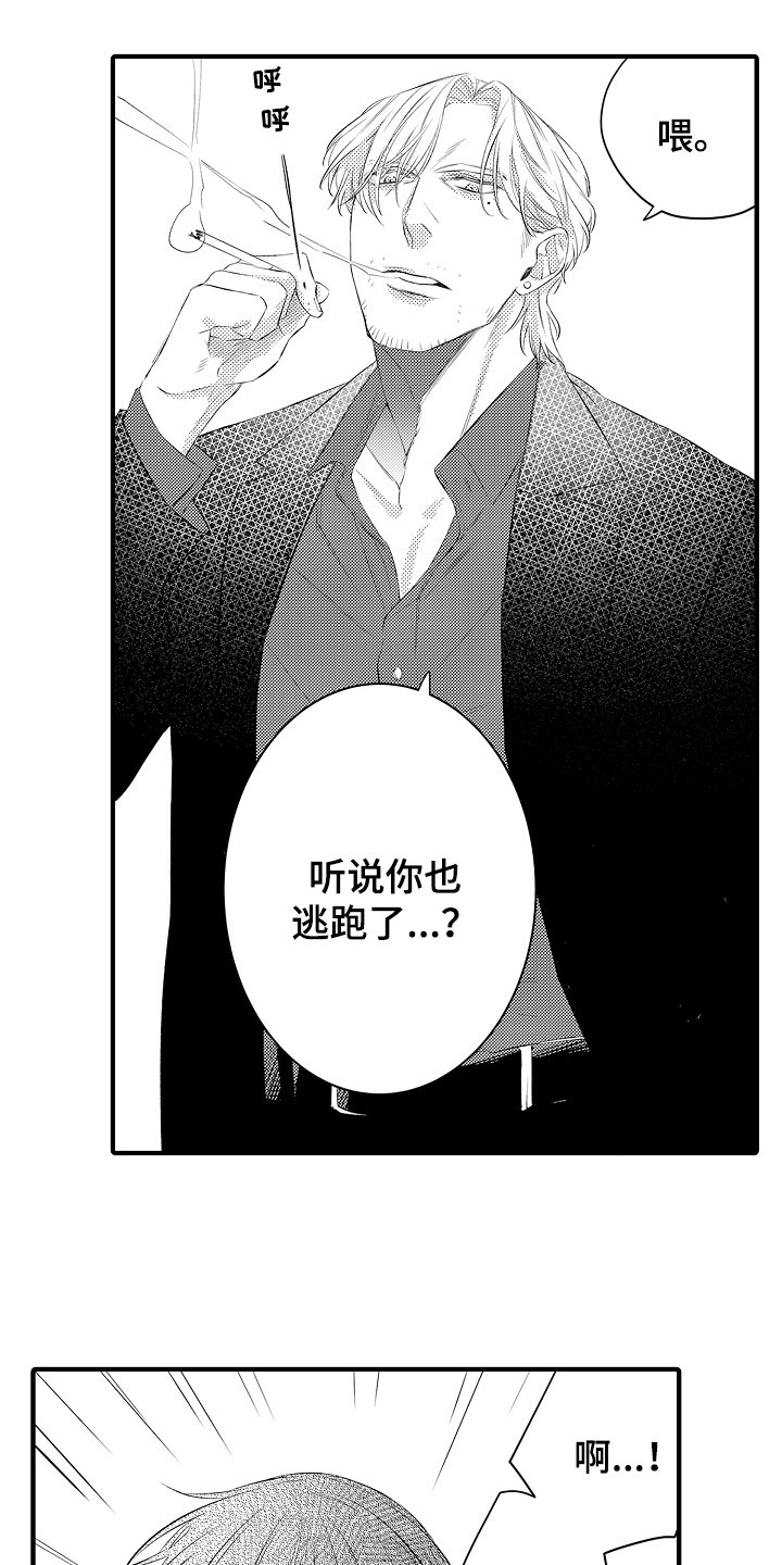 第2章：选择