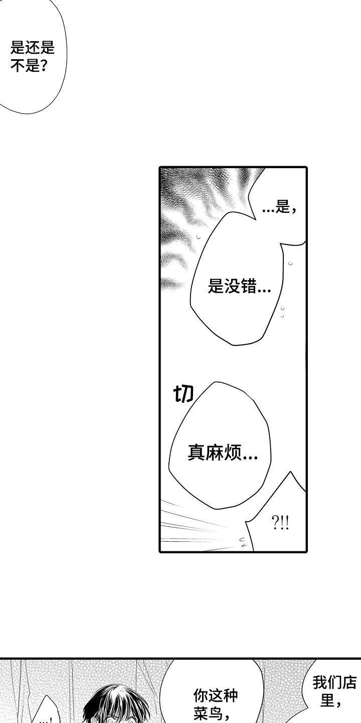 第2章：选择
