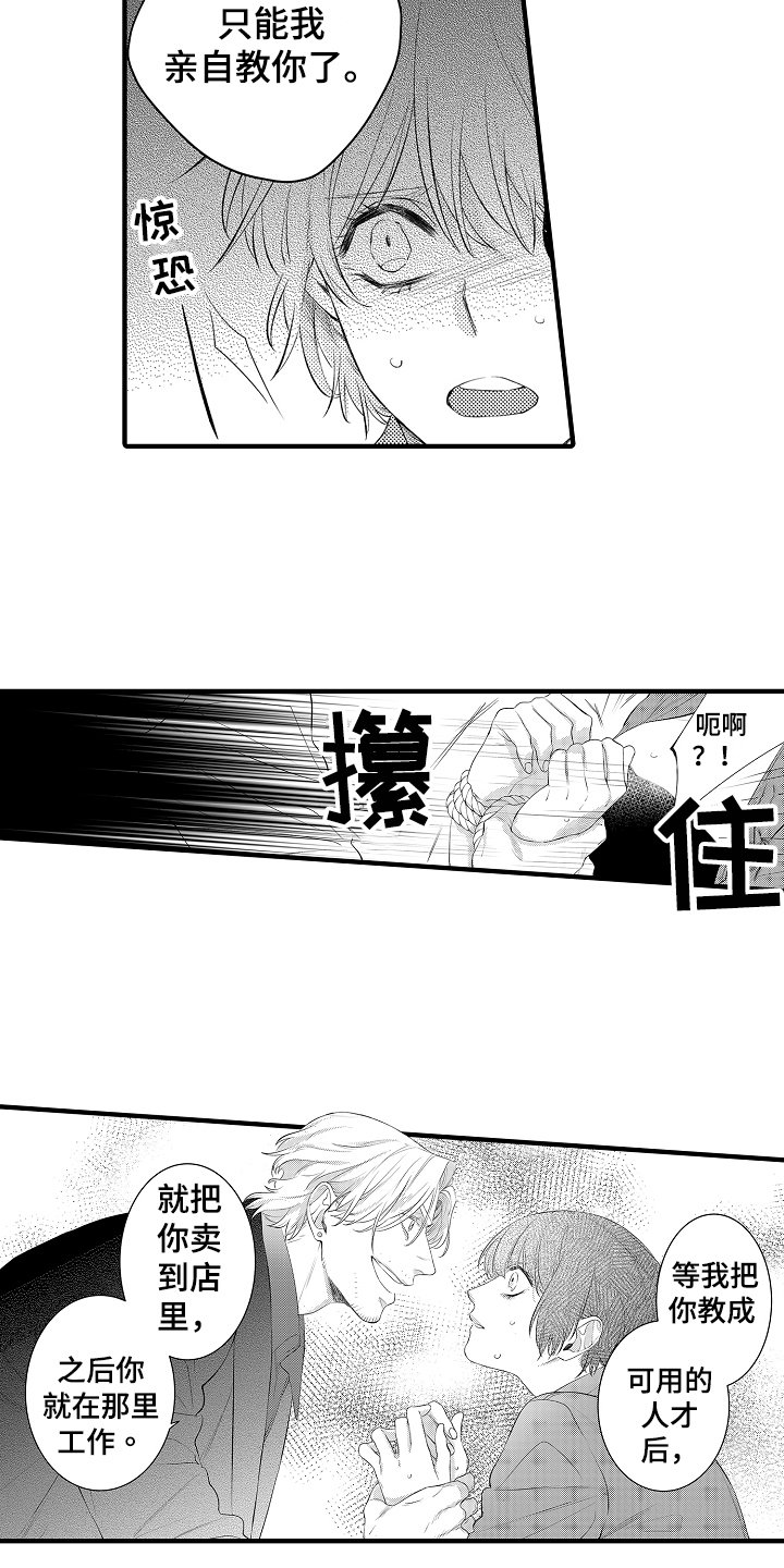 第2章：选择